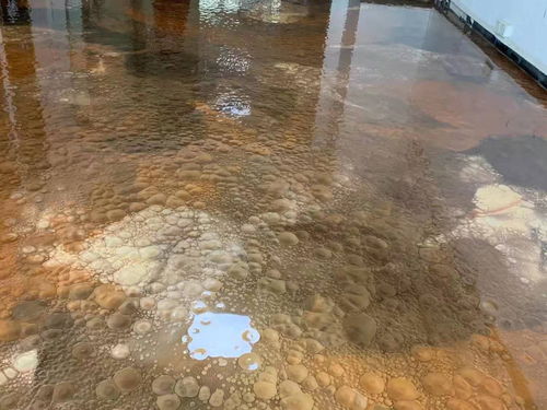 朝阳市纳米硅地坪与地面找平 打造工业与商业地面的新标准